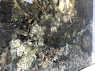 ORIGINAL STONES